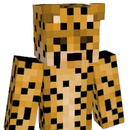 CheetahCub2023 Minecraft avatar bust