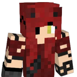 ChenisSmart008 Minecraft avatar bust