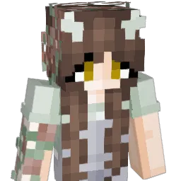 Cherche_Erfina