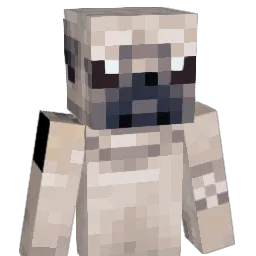 ChewbackkaDefe Minecraft avatar bust