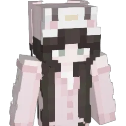 ChexMC