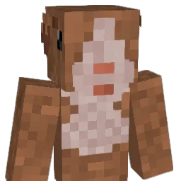 Chibbi2 Minecraft avatar bust
