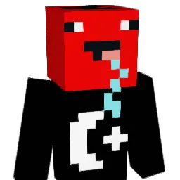 Chicaly2 Minecraft avatar bust