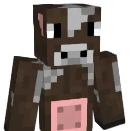 ChickenWingLP's Minecraft skin