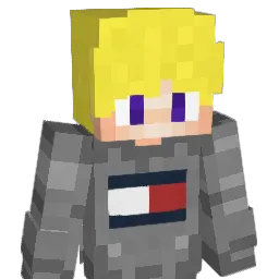 ChickenmitReis Minecraft avatar bust