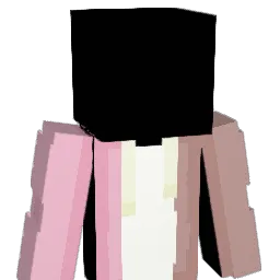 ChiefDrag0n2019 Minecraft avatar bust
