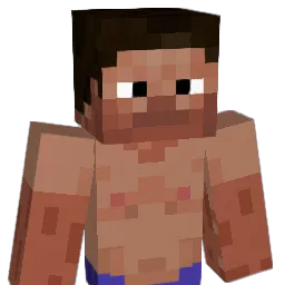 ChigBungus420 Minecraft avatar bust