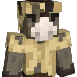 ChildSoliderUSA Minecraft avatar bust