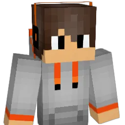 Chips_12 Minecraft avatar bust