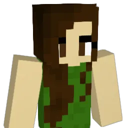 ChirpN Minecraft avatar bust