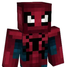 Chizy_ Minecraft avatar bust