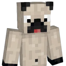 Chknsoup Minecraft avatar bust