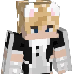Chopins19 Minecraft avatar bust