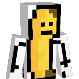 ChoppedChin37 Minecraft avatar bust