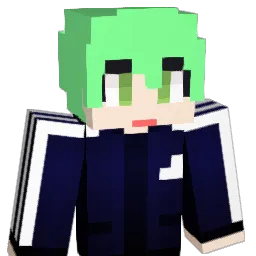 Chosky_ Minecraft avatar bust