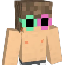 Chris4678 Minecraft avatar bust