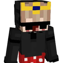 ChrisBraaap Minecraft avatar bust