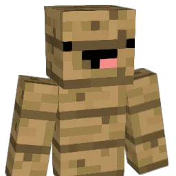 ChrisF011 Minecraft avatar bust