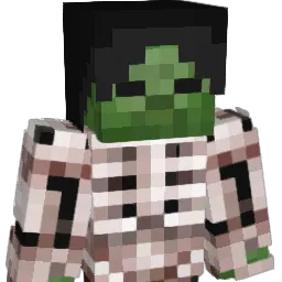 Chrisi0 Minecraft avatar bust