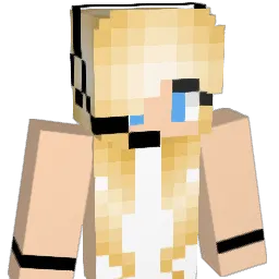 Christmas_birth1 Minecraft avatar bust