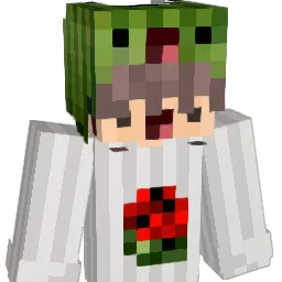 Chrunchy257 Minecraft avatar bust