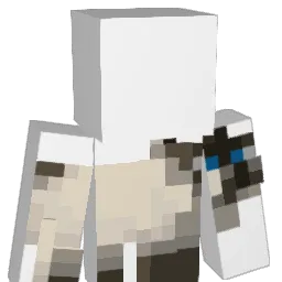 Chubbbs11 Minecraft avatar bust