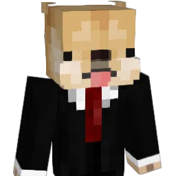 Chucknouis8260 Minecraft avatar bust