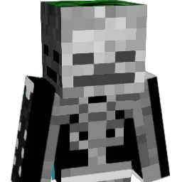 Cikada_101 Minecraft avatar bust