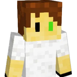 Cinca_ Minecraft avatar bust