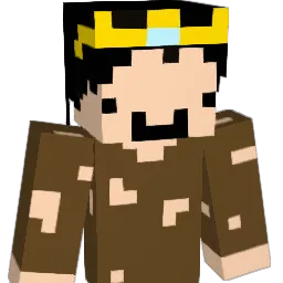 CinnarT