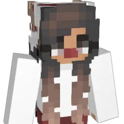 Cinnox Minecraft avatar bust