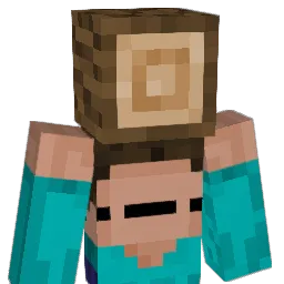 Circlify's Minecraft skin