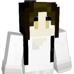 Circumstances Minecraft avatar bust