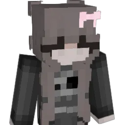 City's Minecraft skin