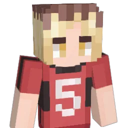 CloudShiny Minecraft avatar bust