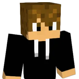 Cmok06 Minecraft avatar bust