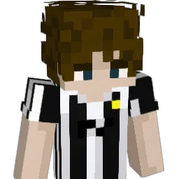 Co_ec Minecraft avatar bust