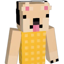 CoachChippy25's Minecraft skin