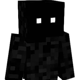Coalx9 Minecraft avatar bust