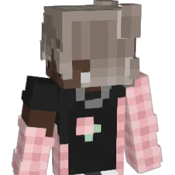 Coazys Minecraft avatar bust