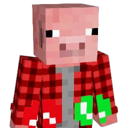 Cobus2222's Minecraft skin