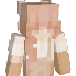 CocoDesigns Minecraft avatar bust