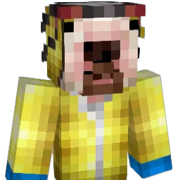 CocoDoo0 Minecraft avatar bust