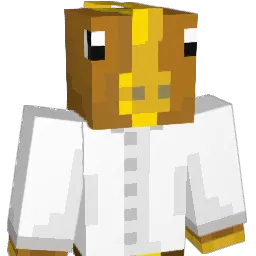 CocolhommeDbois Minecraft avatar bust