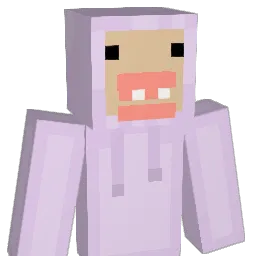 Coconut102 Minecraft avatar bust
