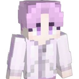 Code0o4 Minecraft avatar bust