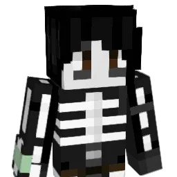 CodeGo Minecraft avatar bust