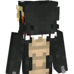 CodeNinjas007's Minecraft skin