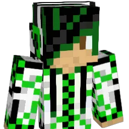 Codeman_27 Minecraft avatar bust