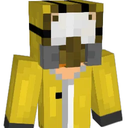 Codert24's Minecraft skin